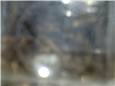 CIMG7184.JPG