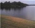 1 Shealys in the distance.jpg