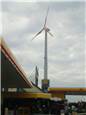 CIMG7769.JPG