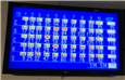 Bowling.JPG