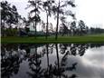 P1520569.JPG