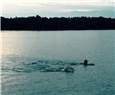 Swim.jpeg