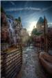 Walt Disney World Photo Gallery Disc