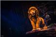 wd031wdw2015089211614877.jpeg