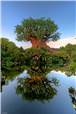 Walt Disney World Photo Gallery Disc