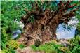 Walt Disney World Photo Gallery Disc