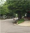 IMG_1391.JPG