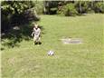 KickSoccerBall