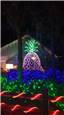 IMG_20161119_202143156.jpg