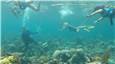 SnubaUnderwater2.jpg