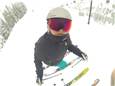 SnowbirdTrip