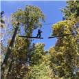 HighRopes.JPG