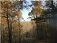 ScenicView.JPG