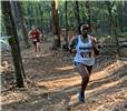 Imari.JPG