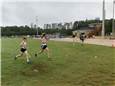 UncategorizedXC