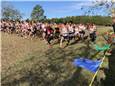 Start3.JPG
