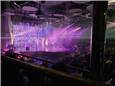 IMG_2866_00.jpeg