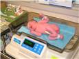 FirstWeighing.JPG
