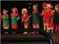 ElfShow