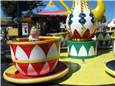 TeaCups1.JPG