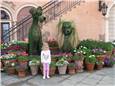 IMG_5620.JPG