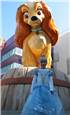 IMG_5751.JPG