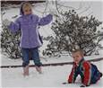 Snowballs.JPG