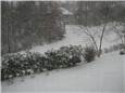WinterStorm.JPG
