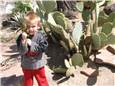 SpencerAlanCactus.JPG