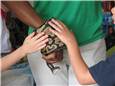 SmallBoa.JPG