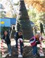 ChristmasTree.JPG