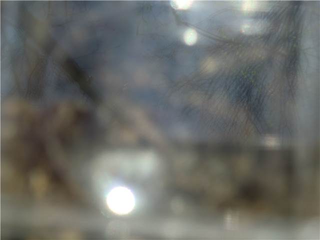 CIMG7184.JPG