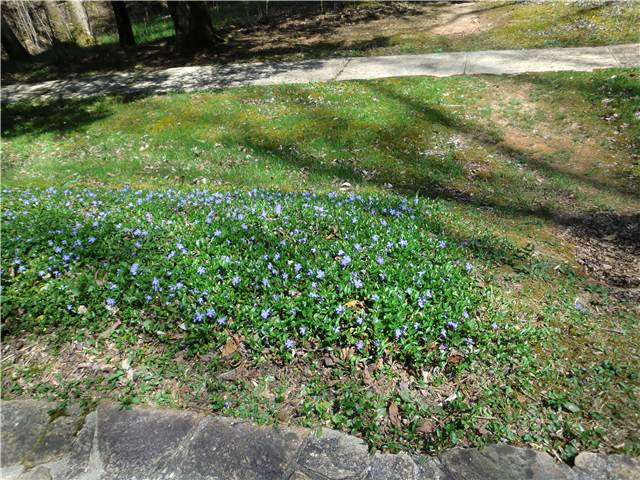 CIMG7193.JPG