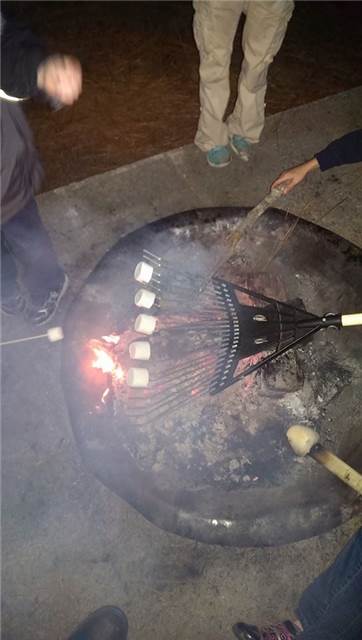 RoastingMarshmallows.jpg