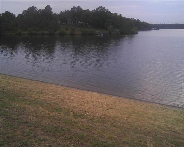 1 Shealys in the distance.jpg