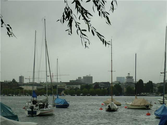 CIMG7294.JPG