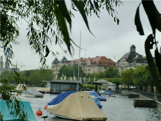 CIMG7295.JPG