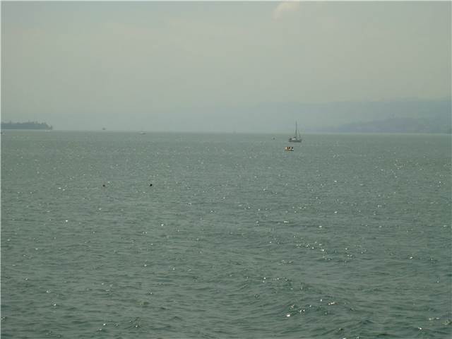 CIMG7338.JPG