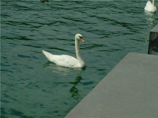 CIMG7342.JPG