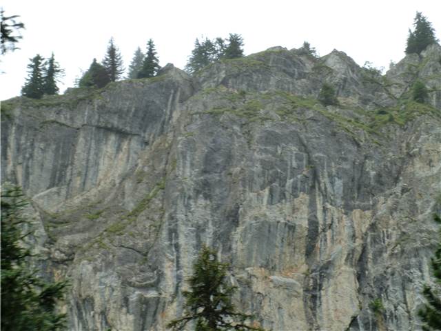 CIMG7543.JPG