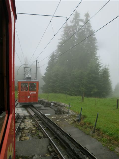 CIMG7549.JPG