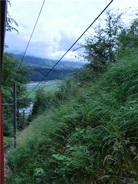 CIMG7556.JPG