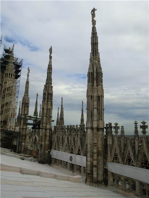 CIMG7581.JPG