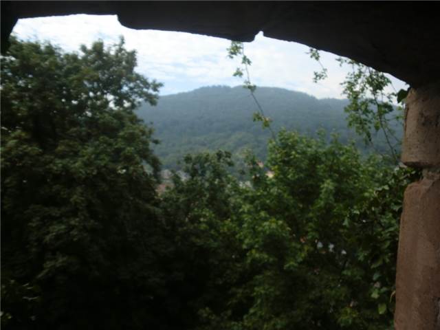 CIMG7774.JPG