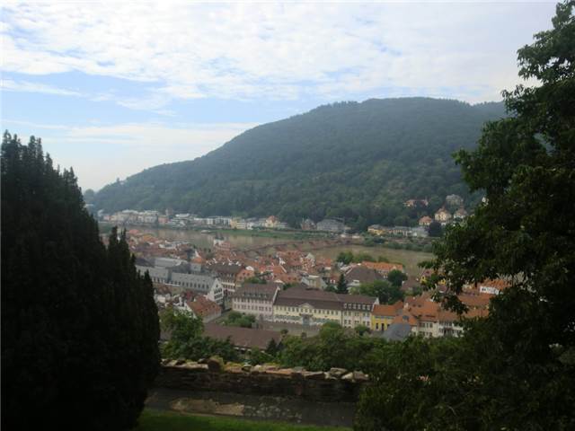 CIMG7779.JPG