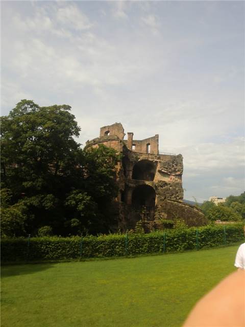 CIMG7794.JPG