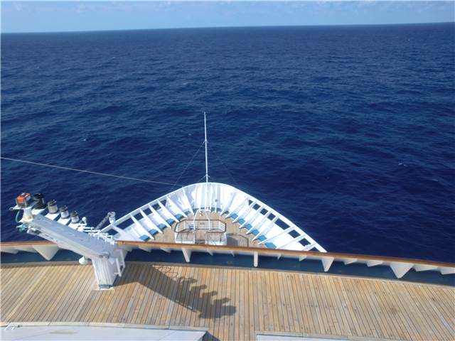 CIMG8544.JPG