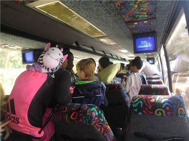 CIMG8553.JPG
