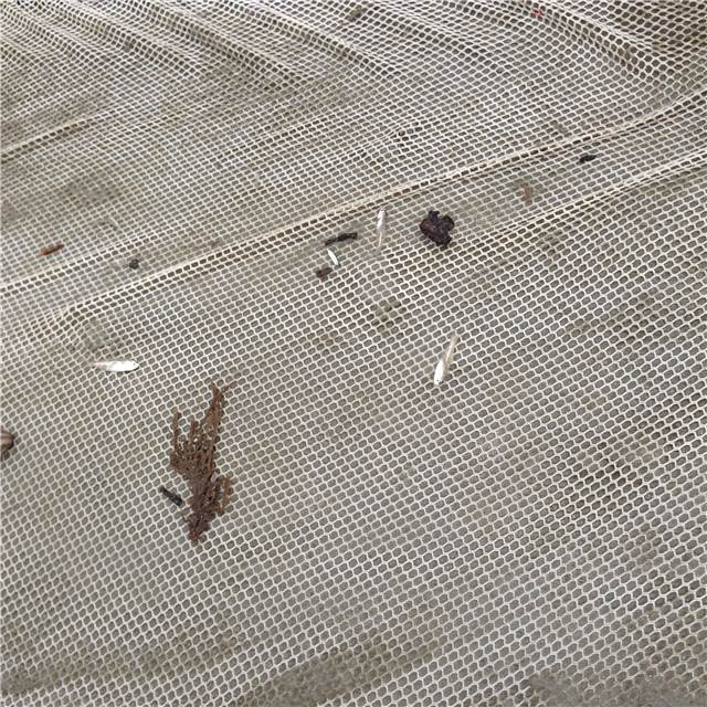 017.JPG