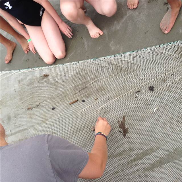 018.JPG
